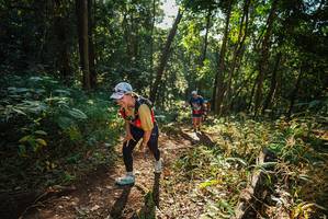 BIB: 
                            <button type="button" onclick="openModal(22546199)" class="btn btn-primary btn-sm float-right btn-popup" data-toggle="modal" data-target=".modal-high-quality">
                        <i class="fas fa-shopping-cart"></i> Add to Cart
                    </button>
                                            <button type="button" onclick="isThisMe(22546199, true)" class="btn btn-success btn-sm float-right btn-popup btn-isme hidden" data-toggle="tooltip" data-placement="bottom" title="นี่คือรูปของคุณใช่ไหม คลิกที่นี่เพื่อเอาเข้าอัลบั้ม">
                        <i class="fas fa-plus"></i> Add to album
                    </button>
                    <button type="button" onclick="isThisMe(22546199, false)" class="btn btn-warning btn-sm float-right btn-popup btn-isnotme hidden">
                        <i class="fas fa-ban"></i> Remove from album
                    </button>